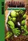 Big Green Men