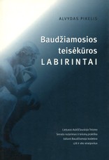 Baudžiamosios teisėkūros labirintai: Lietuvos Aukščiausiojo Teismo Senato nutarimas ir teismų praktika taikant Baudžiamojo kodekso 178 ir 180 straipsnius