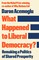 What Happened to Liberal Democracy?