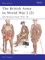 The British Army in World War I (2)