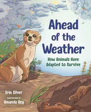 Ahead of the Weather
