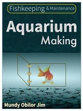 Aquarium Making
