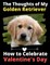 The Thoughts of My Golden Retriever