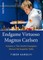 Endgame Virtuoso Magnus Carlsen