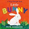 Horácek, P: Little Bunny