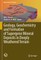 Geology, Geochemistry and Formation of Supergene Mineral Deposits in Deeply Weathered Terrain