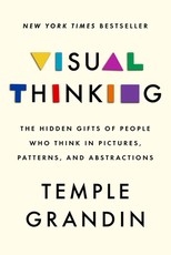 Visual Thinking