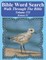 Bible Word Search Walk Through The Bible Volume 152