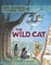 The Wild Cat