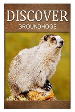 Groundhogs - Discover