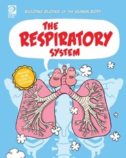 The Respiratory System