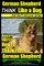 German Shepherd, German Shepherd Training AAA AKC