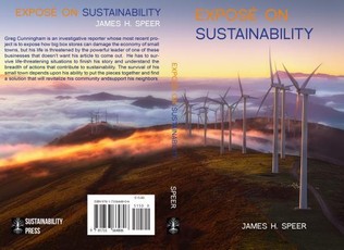 Exposé on Sustainability