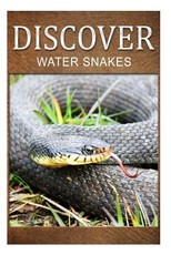 Water Snake - Discover