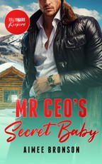 Mr. Ceo's Secret Baby