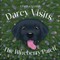 Darcy Visits the Blueberry Patch