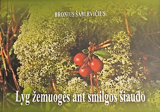 Lyg žemuogės ant smilgos šiaudo