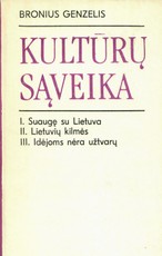 Kultūrų sąveika