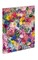 Colorful flowers