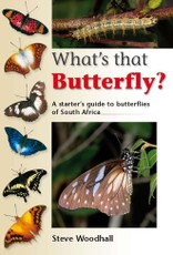 What's that Butterfly?