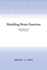 Modelling Brain Function