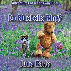 Adventures of a Far Away Bear