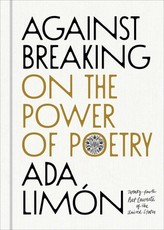 Against Breaking