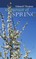 In Pursuit of Spring