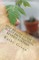 Step by Step Guide to Plant Propagation Revised Edition