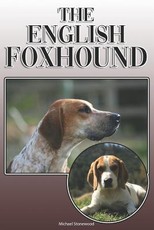 The English Foxhound