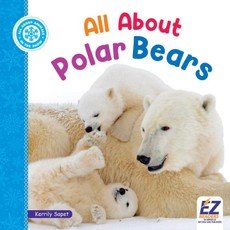 All about Polar Bears