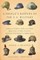 A People's History of the U.S. Military