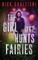 The Girl Who Hunts Fairies