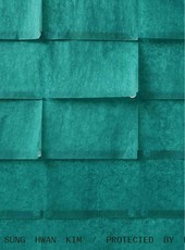 Sung Hwan Kim. Protected by roof and right hand muscles