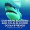 Our Warm Blooded and Cold-Blooded Ocean Friends | Children's Fish & Marine Life
