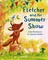 Fletcher and the Summer Show (el. knyga)