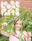 Loose Parts Learning in K-3 Classrooms