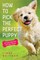 How to Pick The Perfect Puppy