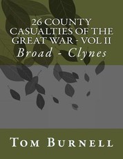 26 County Casualties of the Great War Volume II
