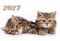 Sieninis kalendorius „Katės“ 2027, 1 dalies