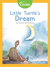 Little Turtle's Dream