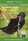 All about Birds Northeast