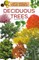 Deciduous Trees