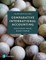 Comparative International Accounting