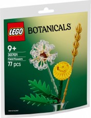 LEGO Botanicals „Lauko gėlės“