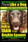 Boykin Spaniel, Boykin Spaniel Training AAA Akc