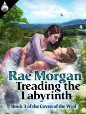 Treading the Labyrinth