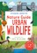 RSPB Nature Guide: Urban Wildlife