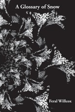 A Glossary of Snow