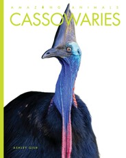 Cassowaries